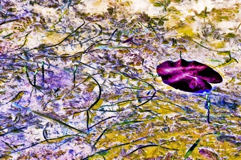 N 050E